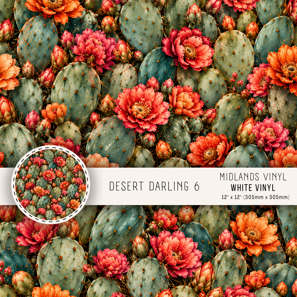 DESERT DARLING COLLECTION - ASSORTED SIZES/PATTERNS