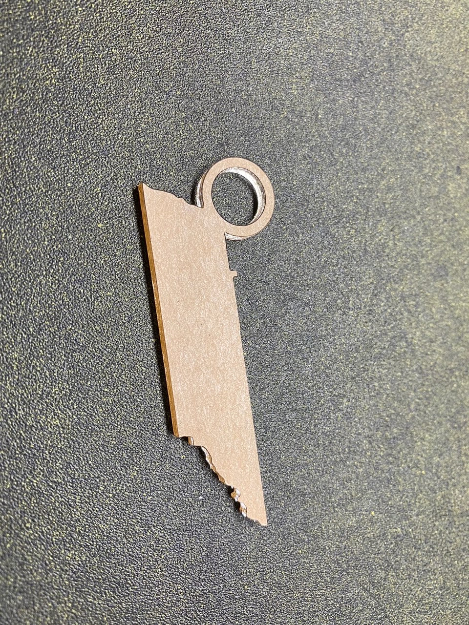 Tennessee State Charm