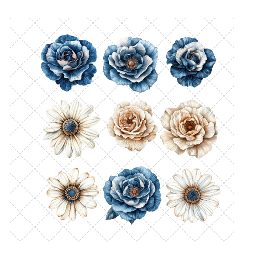 SALTWATER SOUL COLLECTION ELEMENT SHEET 1