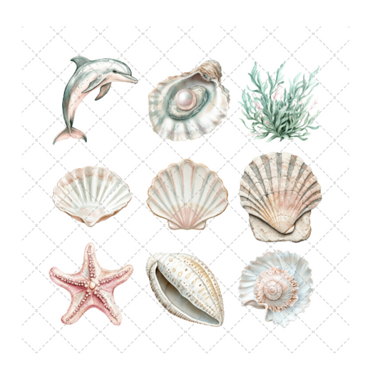 SEASHELL STORIES COLLECTION ELEMENT SHEET 1