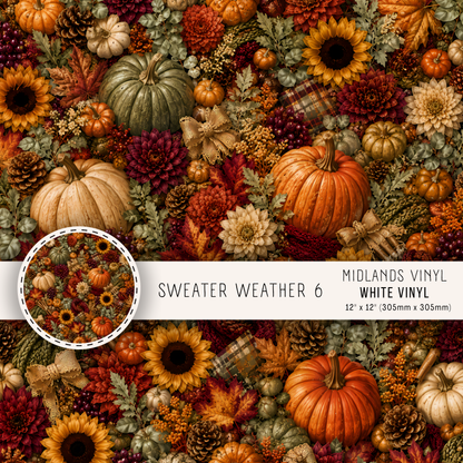 SWEATER WEATHER - ASSORTED PATTERNS/SIZES