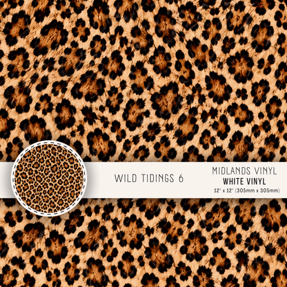 WILD TIDINGS COLLECTION
