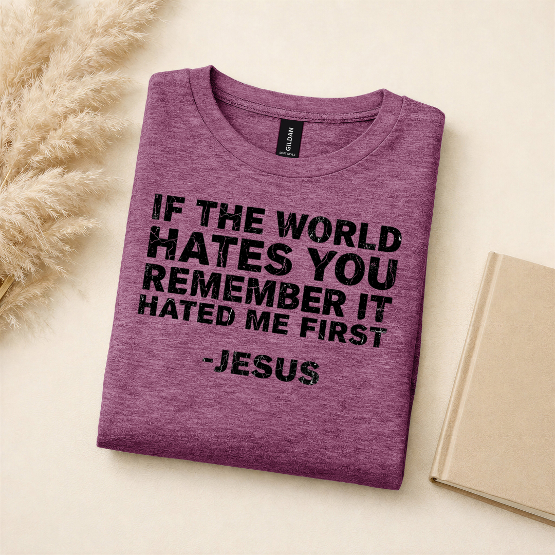IF THE WORLD DISTRESSED TEE