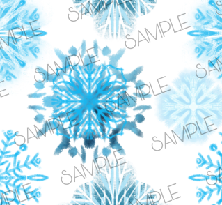 SNOW13