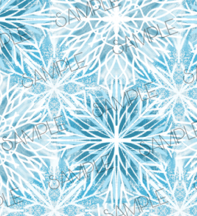 SNOW24