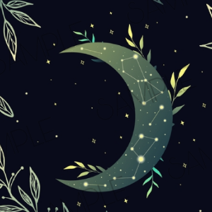 WHIMSHEET47
